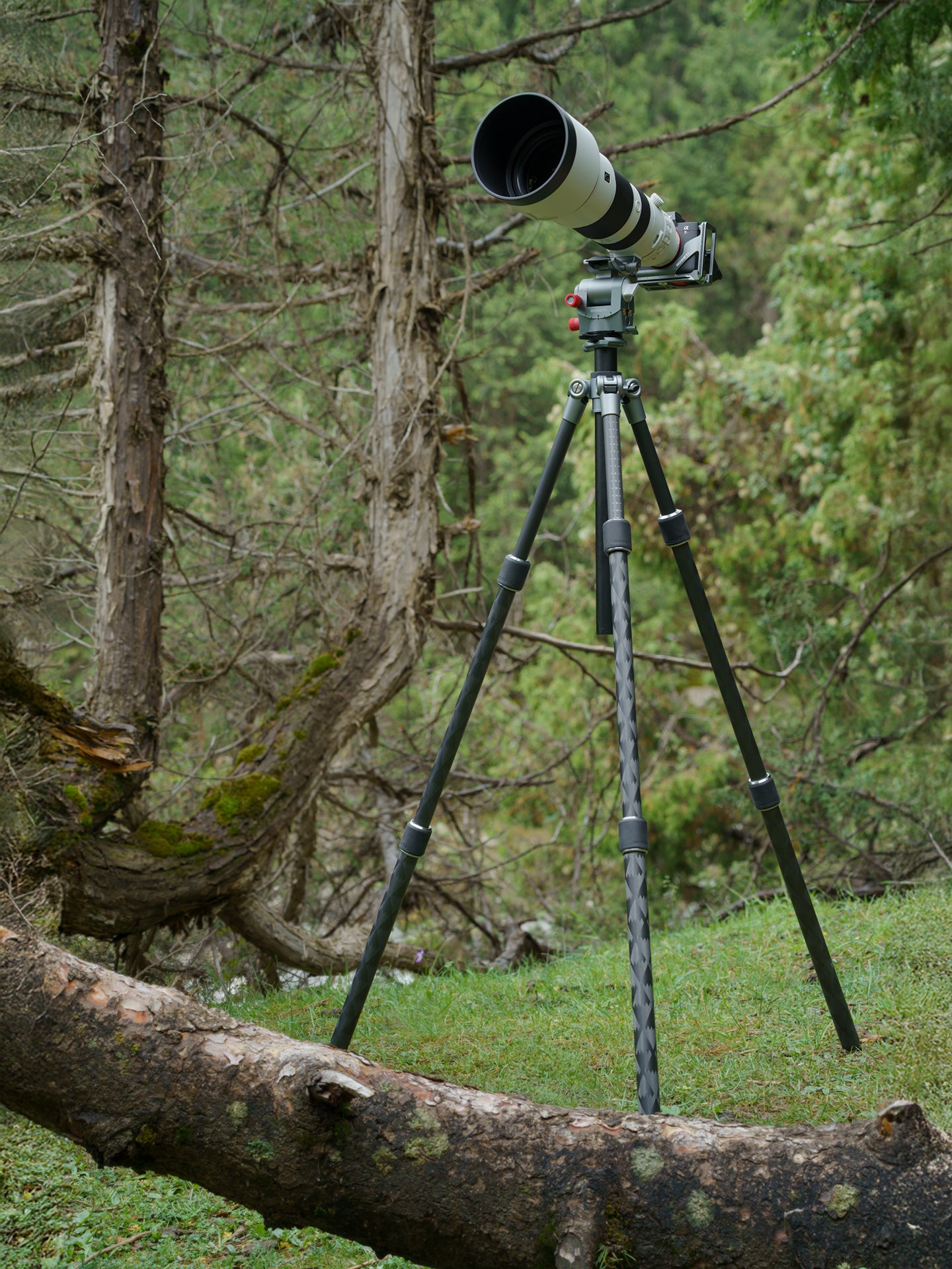 T32Lite Pro Travel Tripod